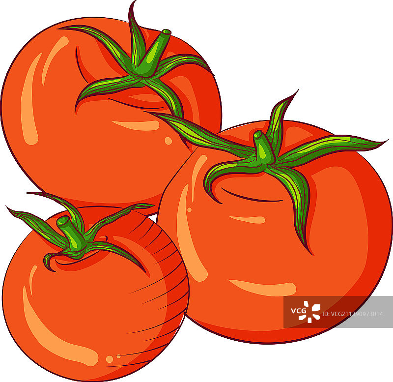 三个完整的番茄图片素材