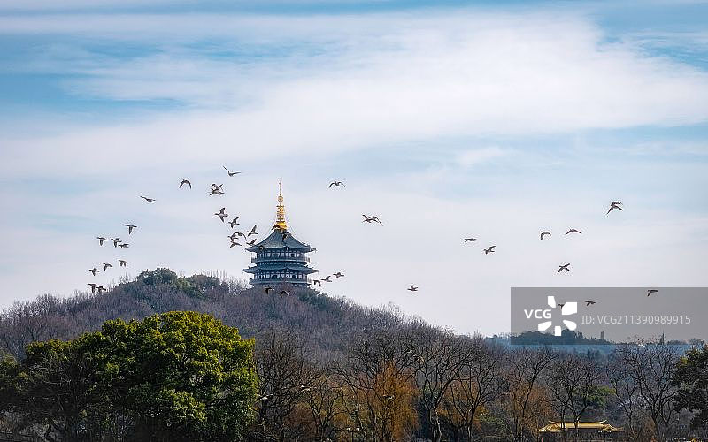 鸳鸯戏飞雷峰塔图片素材