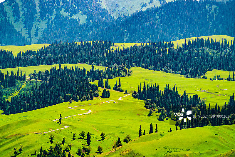 新疆伊犁新源那拉提空中草原图片素材