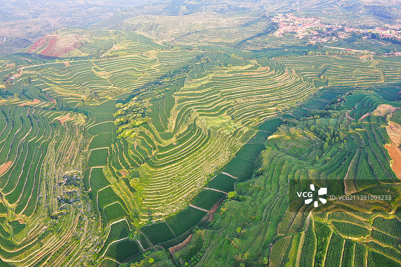 黄土高原上的梯田图片素材