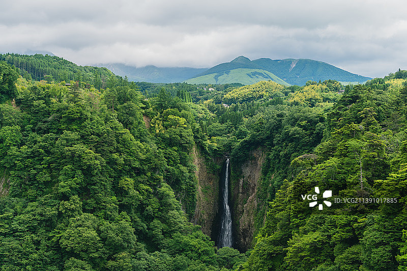 夏季绿色阳光鸟瞰热带野生森林和瀑布图片素材