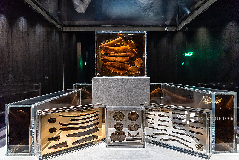 中国成都金沙遗址的古代象牙图片素材