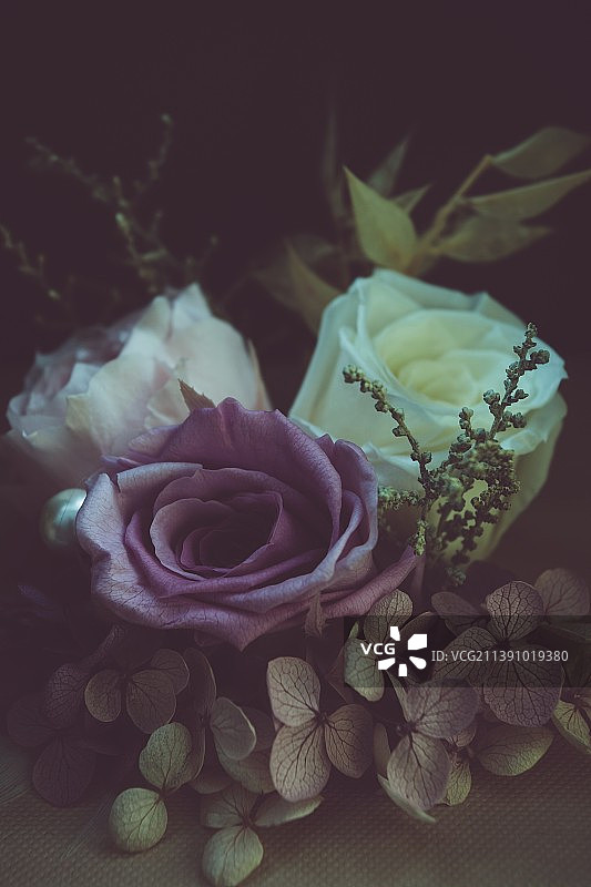 永生花图片素材