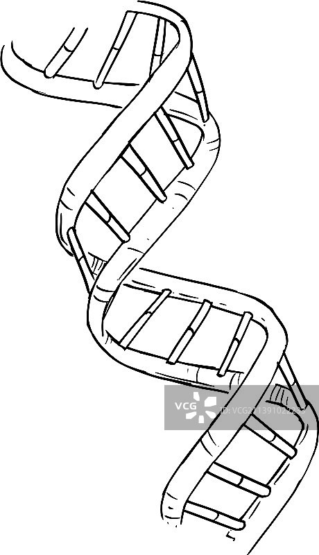 DNA双螺旋科学卡通图片素材