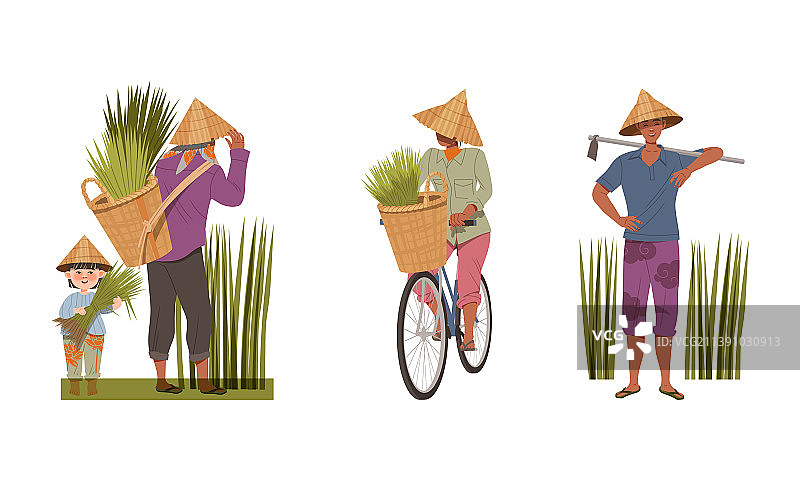戴斗笠的亚洲农民搬运稻草捆图片素材