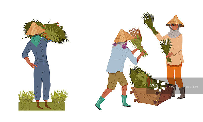 戴斗笠的亚洲农民搬运稻草捆图片素材