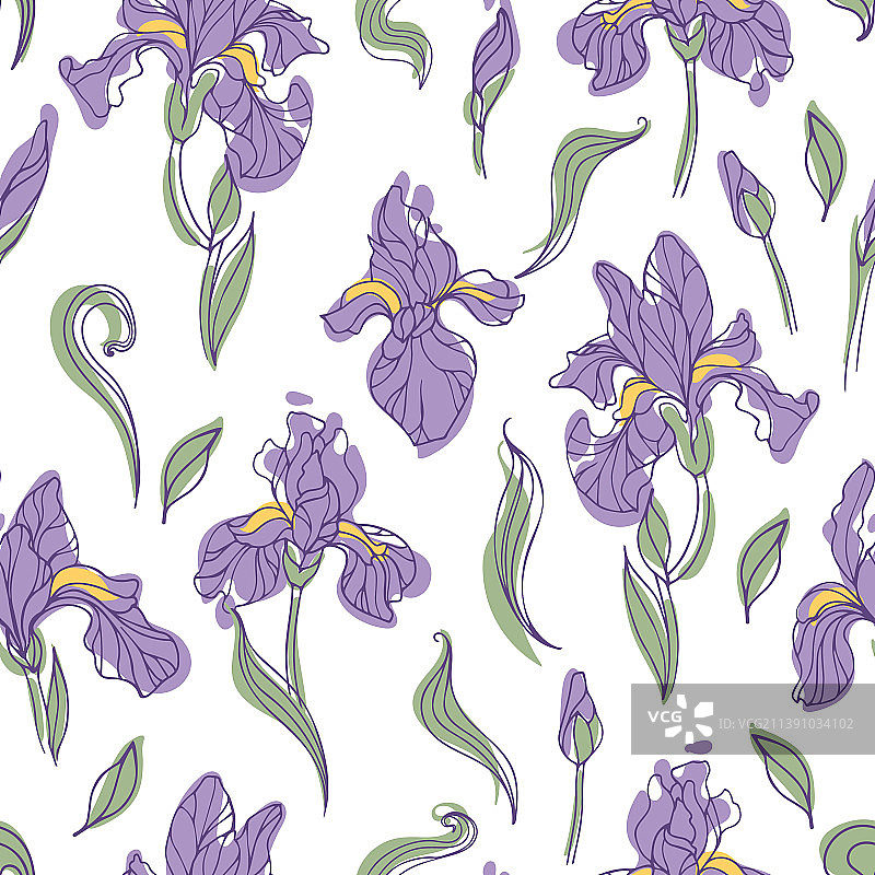 现代明亮虹膜花无缝图案图片素材