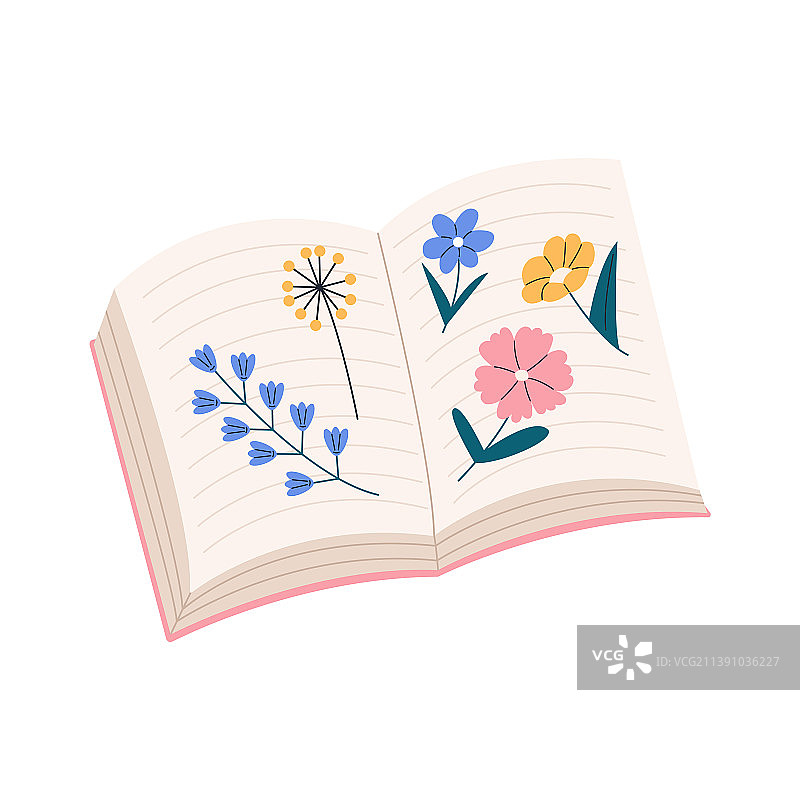 书页上的花朵图片素材