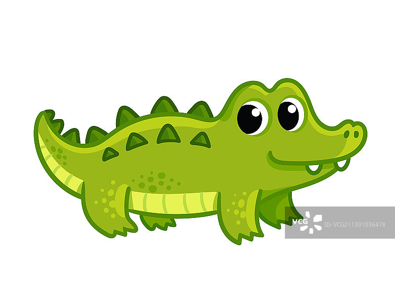 白色背景上的小鳄鱼图片素材