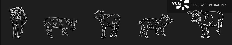 黑色背景上手绘的复古肉店图片素材