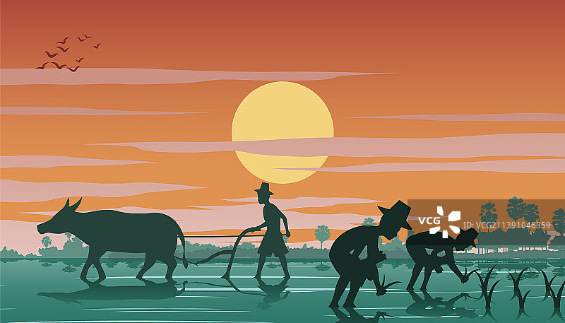 农夫种植水稻的乡村生活图片素材