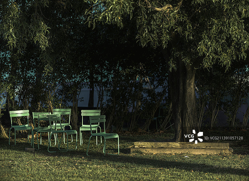 树下乘凉图片素材