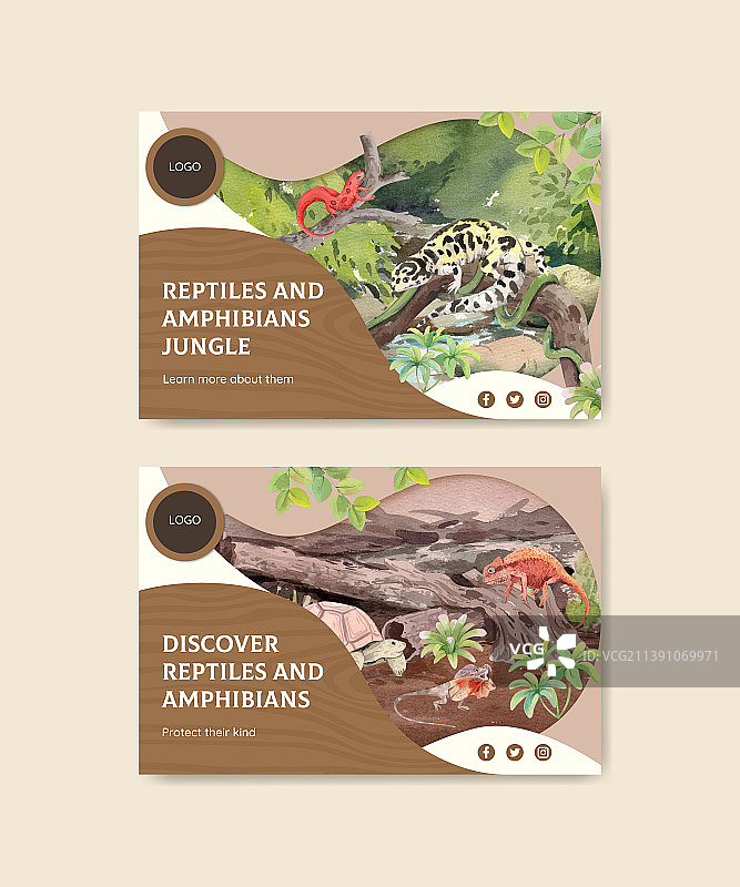 带有爬行动物和两栖动物的Facebook模板图片素材
