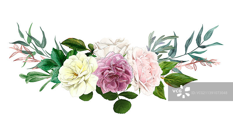 手绘的茂盛英国玫瑰花束与叶子图片素材