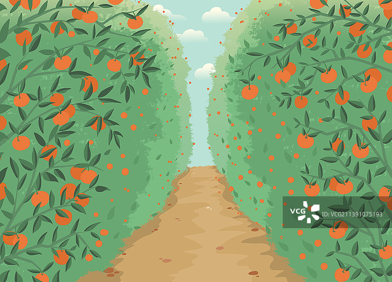 道路两旁的果树挂满了橙子插画海报图片素材