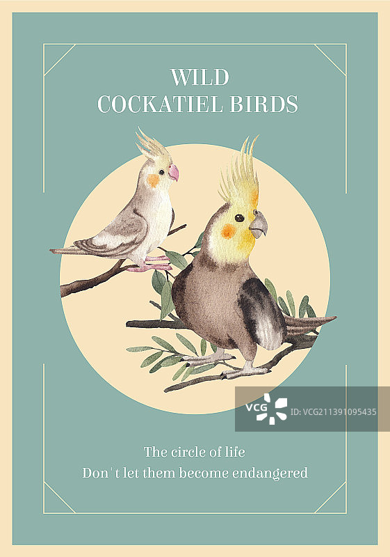 带鸡尾鹦鹉的模板海报图片素材