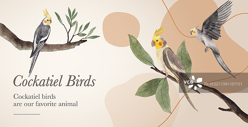 带有鸡尾鹦鹉的广告牌模板图片素材