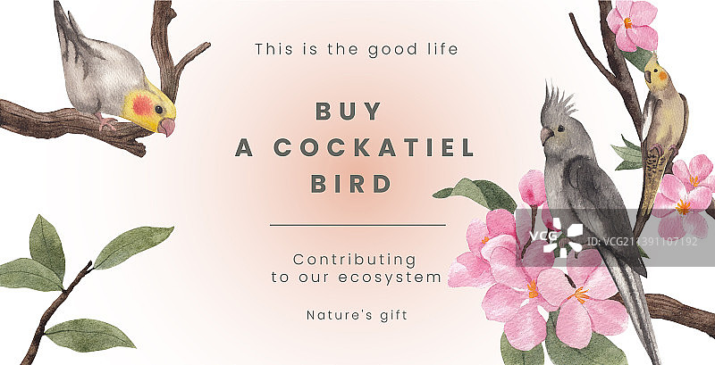 带有鸡尾鹦鹉的广告牌模板图片素材