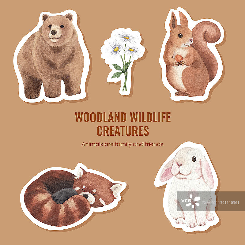 春季森林野生动物贴纸模板图片素材