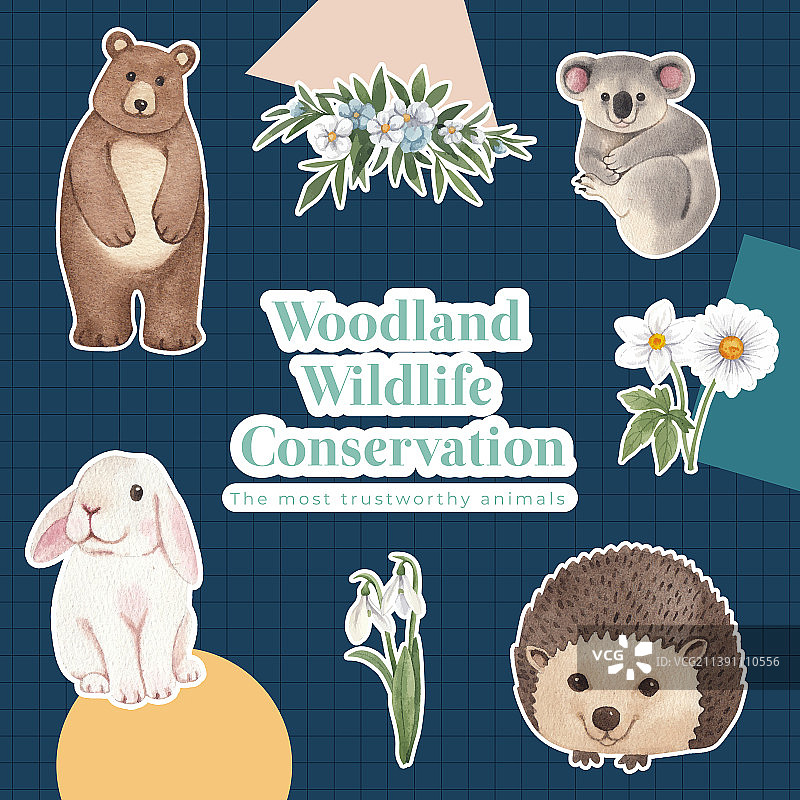 春季森林野生动物贴纸模板图片素材