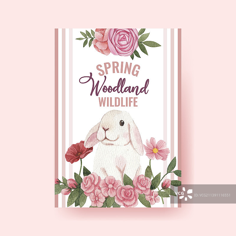 春季林地野生动物海报模板图片素材