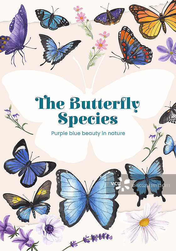 紫色蝴蝶海报模板图片素材