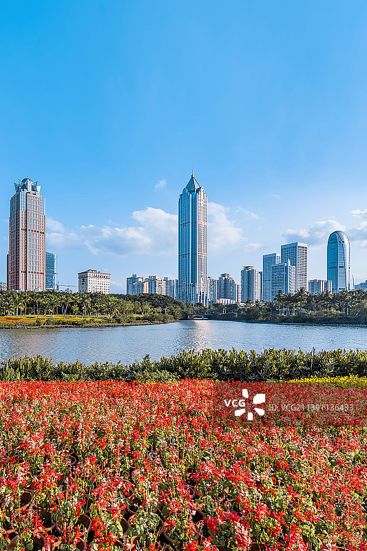 中国海南海口万绿园的花丛和国贸CBD建筑群晴天风光图片素材
