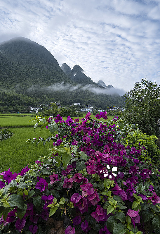 贵州万峰林风光图片素材