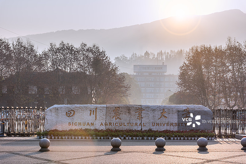 中国四川农业大学校门图片素材