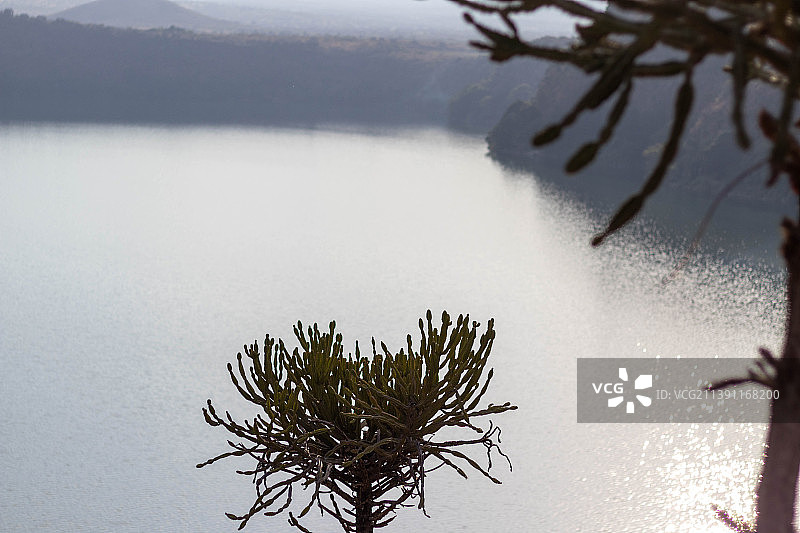 在肯尼亚察沃国家公园的野生动物照片图片素材