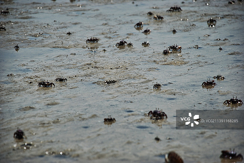 不要把婴儿和洗澡水一起倒掉图片素材