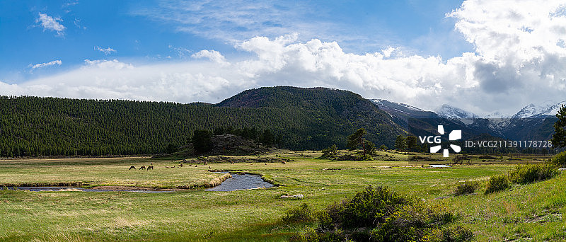 美国落基山国家公园海狸草甸图片素材