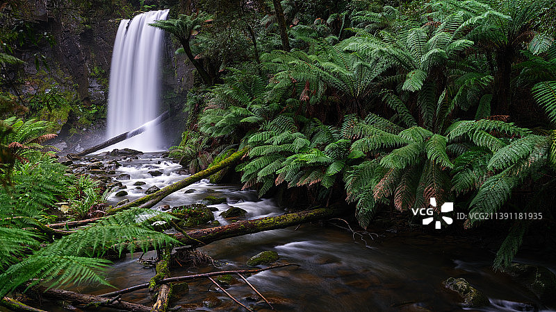 澳大利亚维多利亚州大奥特威国家公园森林瀑布的风景图片素材