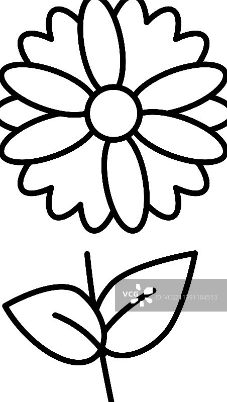 甘菊花朵香薰线条图标图片素材