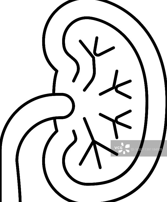 不健康的肾脏线性图标图片素材