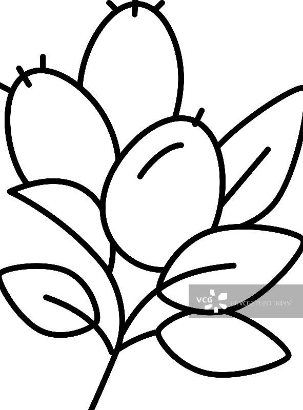 玫瑰果香薰线条图标图片素材