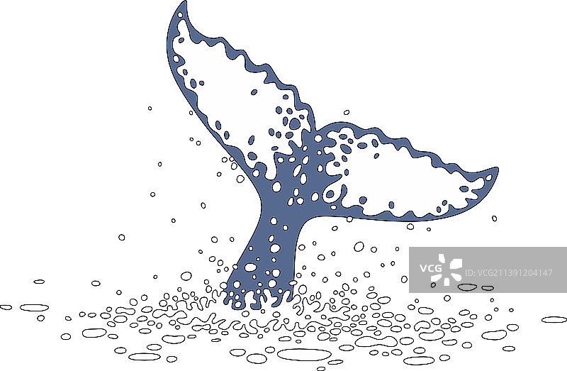 潜水鲸鱼的尾鳍图片素材