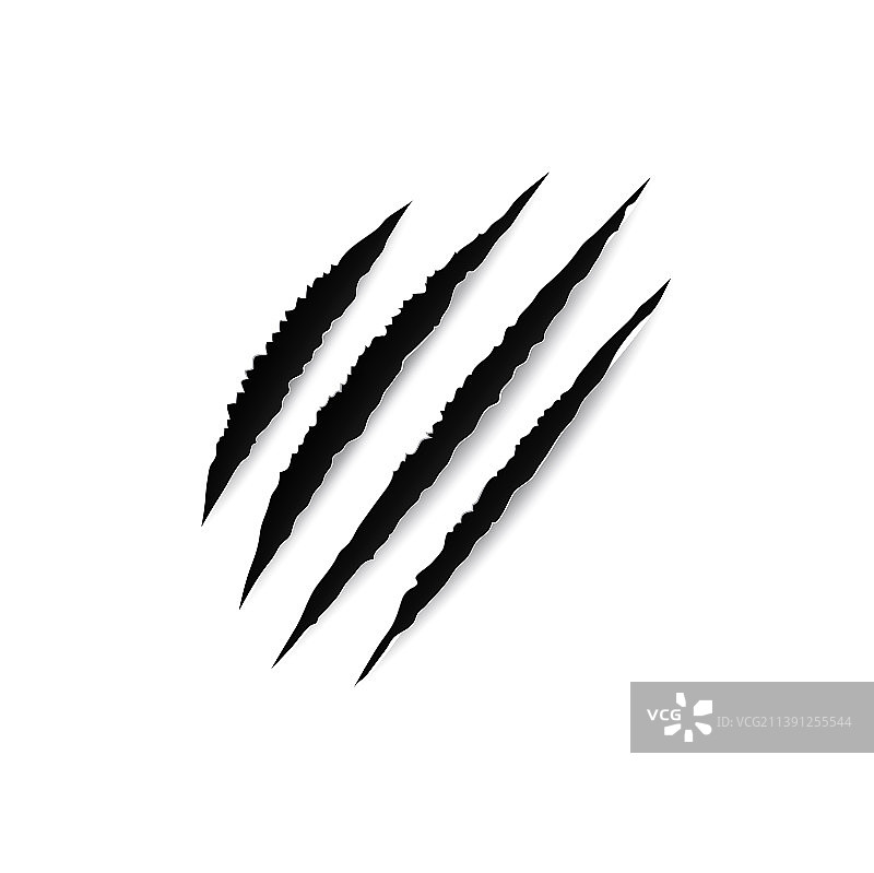 动物爪子痕迹锋利抓痕图片素材