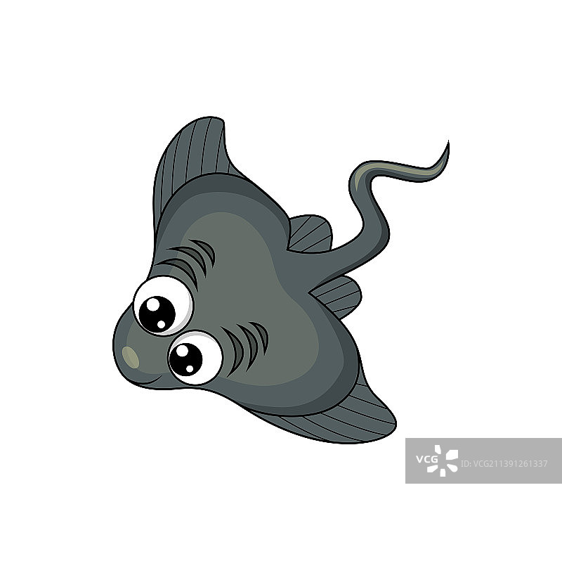 蝠鲼，海洋动物，鳐鱼图片素材