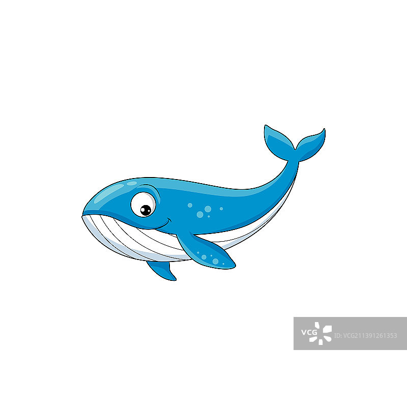 最大的齿鲸掠食者——抹香鲸儿童鱼类图片素材
