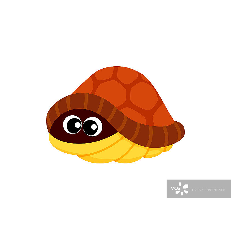 躲藏的卡通乌龟玩具图片素材