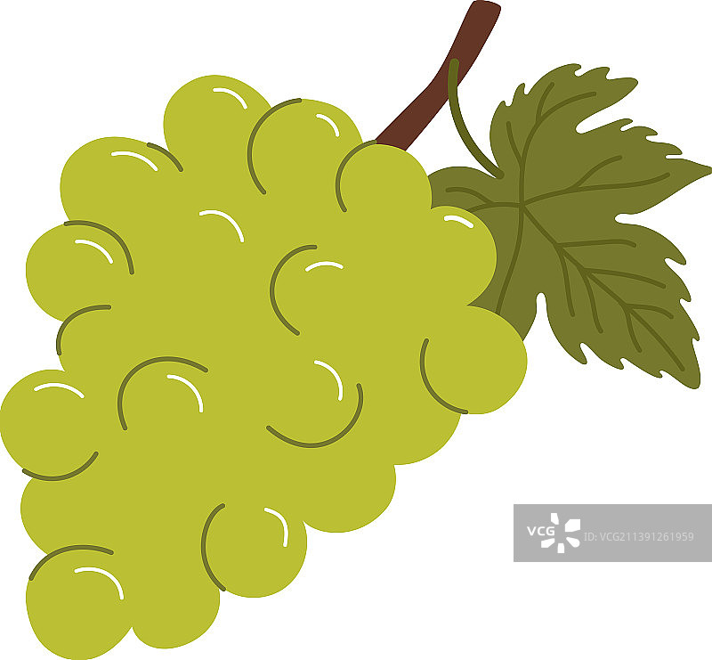 带茎的绿色葡萄，分离的浆果叶图片素材