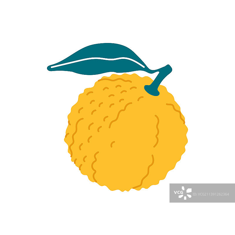 卡通风格的带叶黄色柚子图片素材