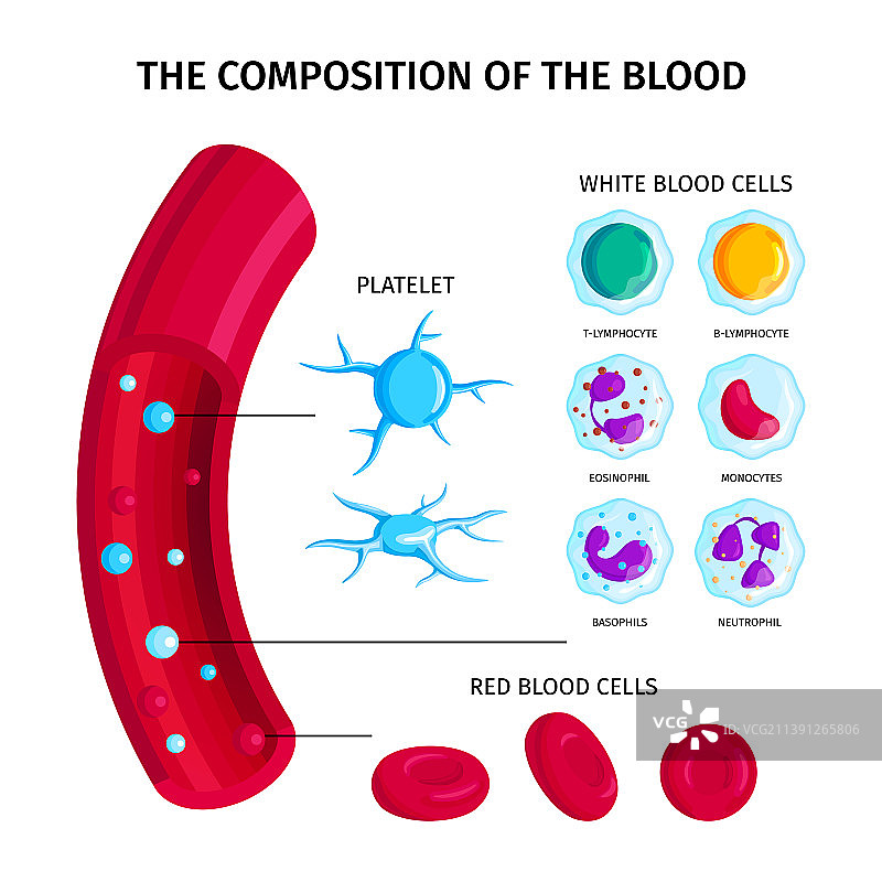 血液信息图组合图片素材
