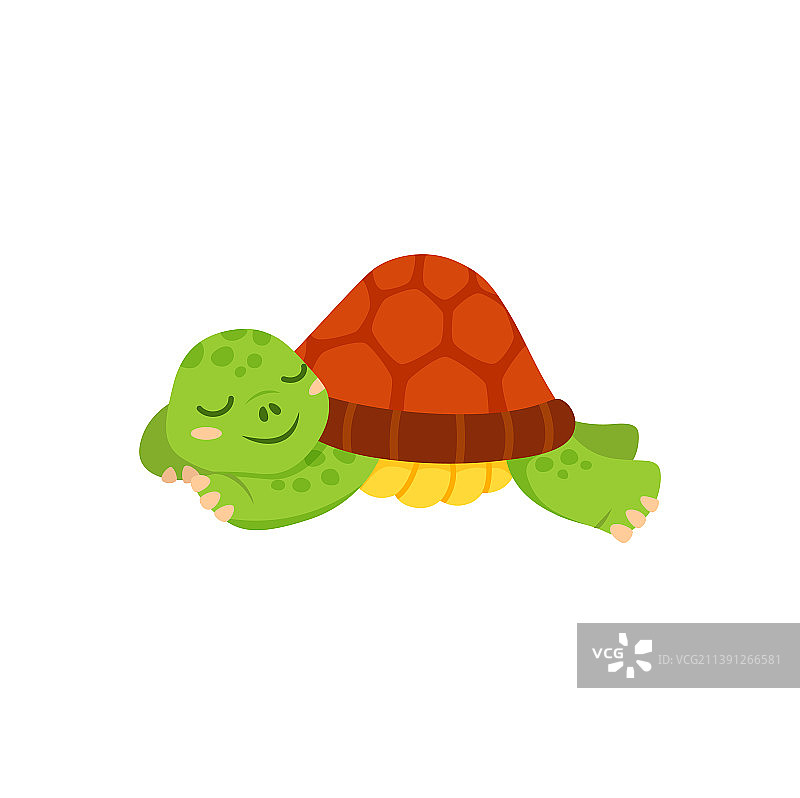卡通动物爬行动物乌龟图片素材