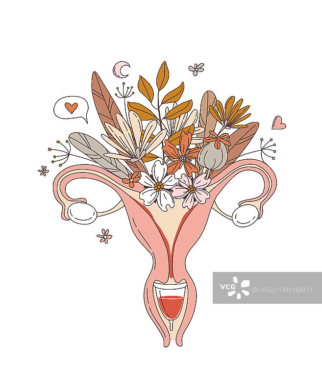 女性生殖系统子宫与花卉图片素材