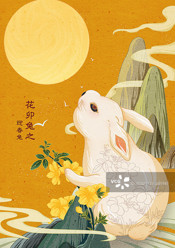 2023花卯兔系列图片素材