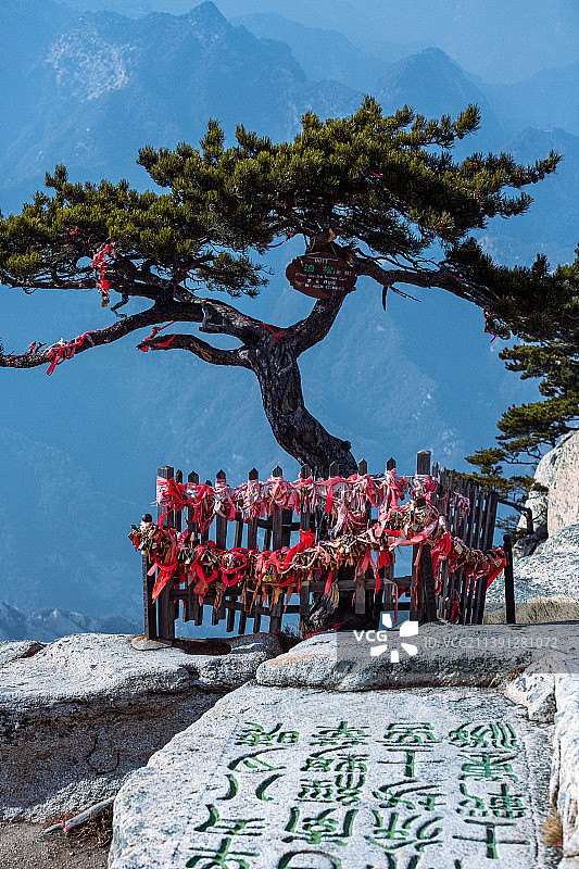 天下第一险华山东峰的迎客松图片素材