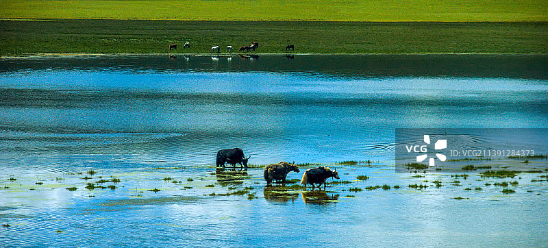西藏措那湖图片素材