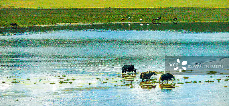西藏措那湖图片素材